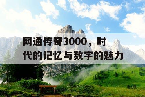 网通传奇3000，时代的记忆与数字的魅力
