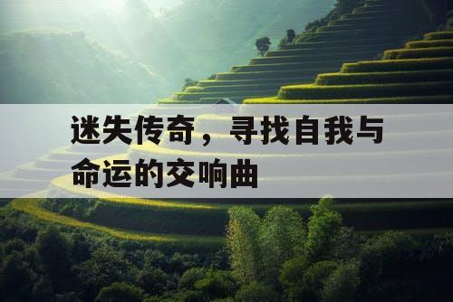 迷失传奇，寻找自我与命运的交响曲