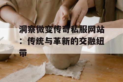 洞察微变传奇私服网站：传统与革新的交融纽带