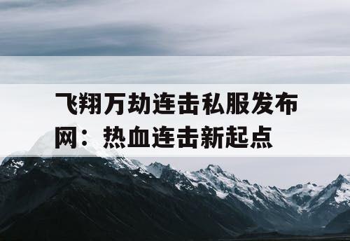 飞翔万劫连击私服发布网：热血连击新起点