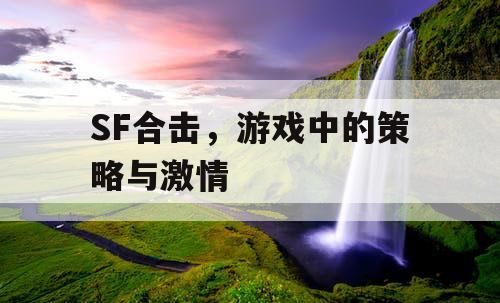 SF合击，游戏中的策略与激情