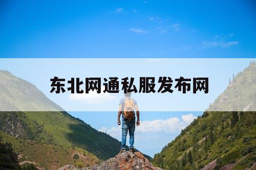 东北网通私服发布网