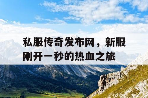 私服传奇发布网，新服刚开一秒的热血之旅