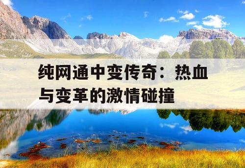 纯网通中变传奇：热血与变革的激情碰撞