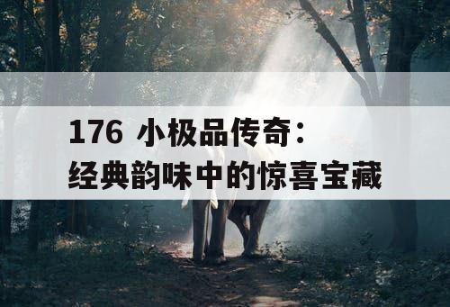 176 小极品传奇：经典韵味中的惊喜宝藏