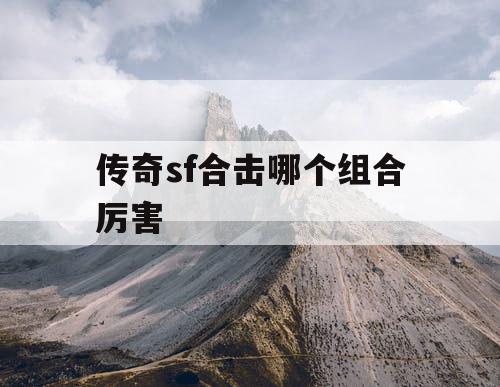 传奇sf合击哪个组合厉害