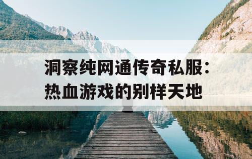 洞察纯网通传奇私服：热血游戏的别样天地