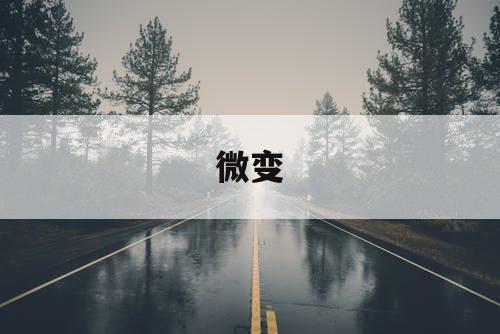 微变