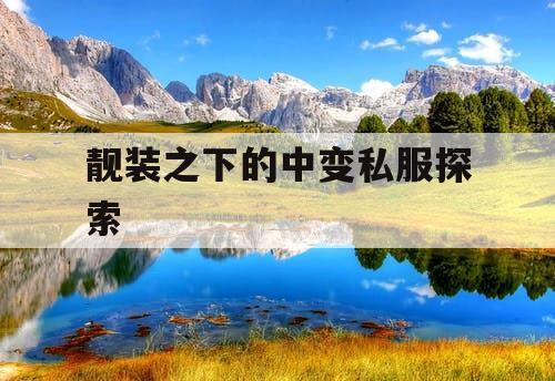 靓装之下的中变私服探索 靓装之下的中变私服探索
