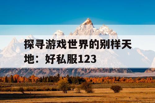 探寻游戏世界的别样天地：好私服123