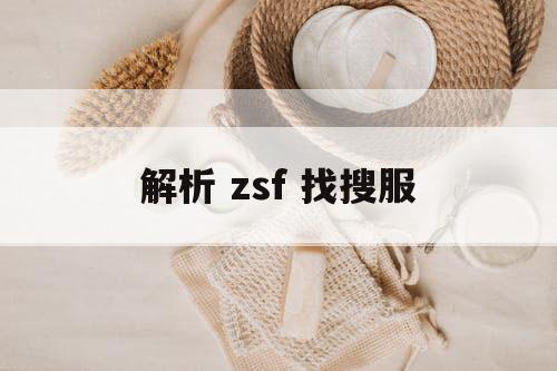 解析 zsf 找搜服