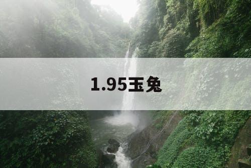 1.95玉兔 1.95玉兔