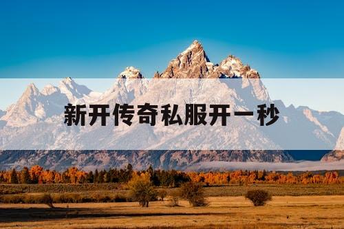 新开传奇私服开一秒