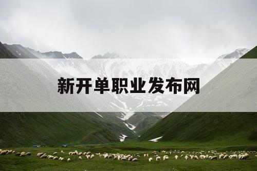 新开单职业发布网