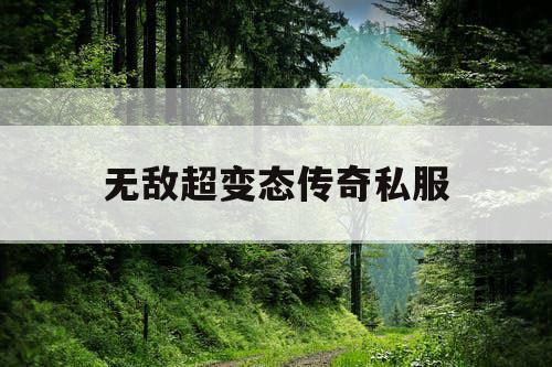 无敌超变态传奇私服