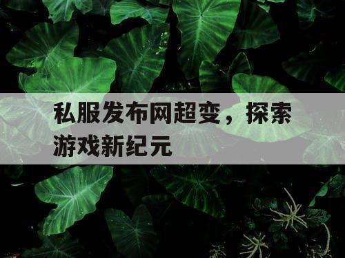 私服发布网超变，探索游戏新纪元