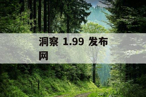 洞察 1.99 发布网