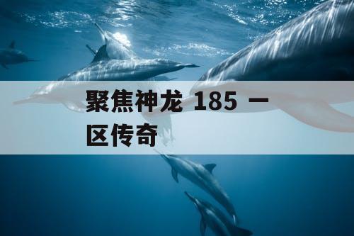聚焦神龙 185 一区传奇 聚焦神龙 185 一区传奇