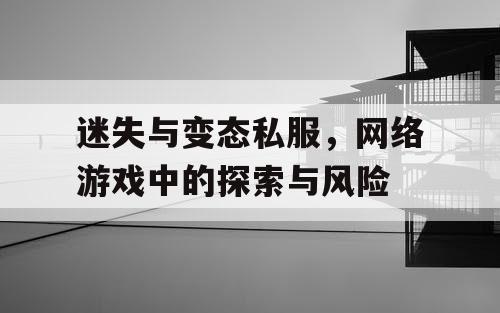 迷失与变态私服，网络游戏中的探索与风险