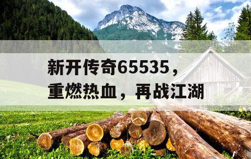 新开传奇65535,重燃热血,再战江湖 新开传奇65535,重燃热血,再战江湖
