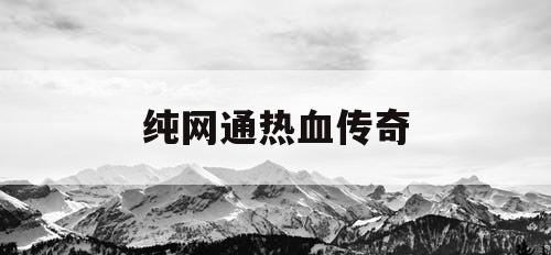纯网通热血传奇