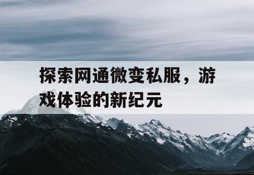 探索网通微变私服,游戏体验的新纪元 探索网通微变私服,游戏体验的新纪元