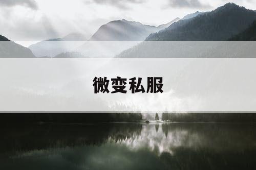 微变私服
