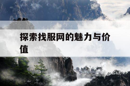 探索找服网的魅力与价值