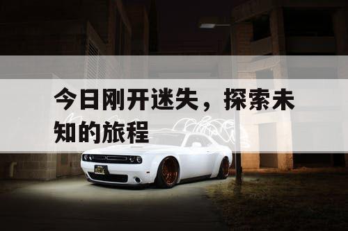 今日刚开迷失，探索未知的旅程