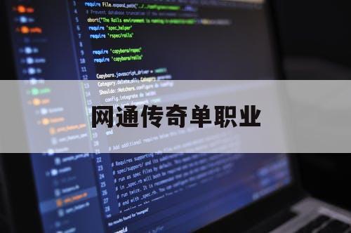 网通传奇单职业