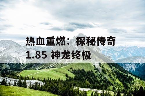 热血重燃：探秘传奇 1.85 神龙终极