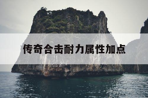 传奇合击耐力属性加点