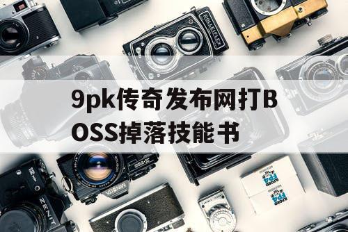 9pk传奇发布网打BOSS掉落技能书