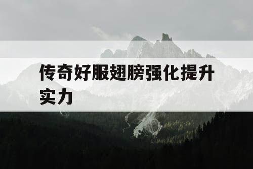 传奇好服翅膀强化提升实力