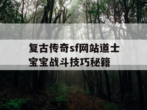 复古传奇sf网站道士宝宝战斗技巧秘籍