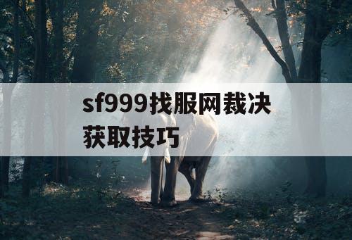 sf999找服网裁决获取技巧