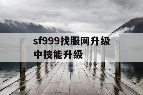 sf999找服网升级中技能升级