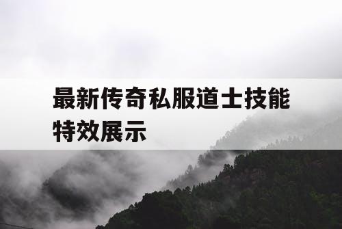 最新传奇私服道士技能特效展示