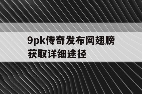 9pk传奇发布网翅膀获取详细途径