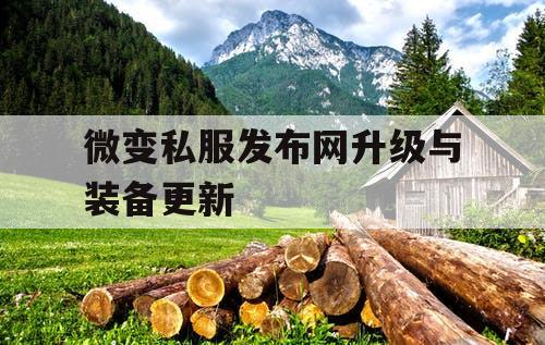 微变私服发布网升级与装备更新