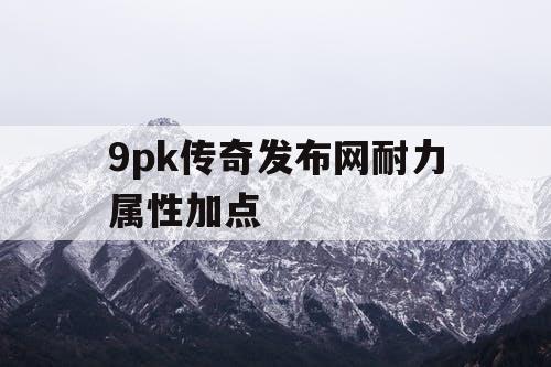 9pk传奇发布网耐力属性加点
