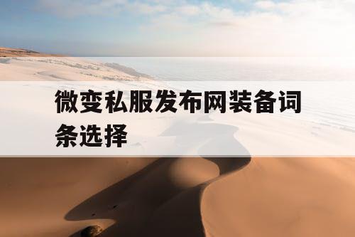 微变私服发布网装备词条选择 微变私服发布网装备词条选择