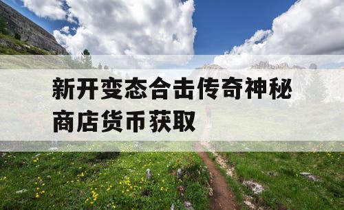 新开变态合击传奇神秘商店货币获取