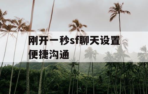 刚开一秒sf聊天设置便捷沟通