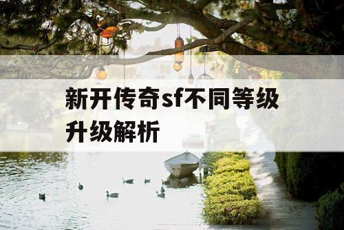 新开传奇sf不同等级升级解析