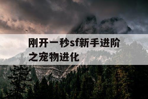 刚开一秒sf新手进阶之宠物进化