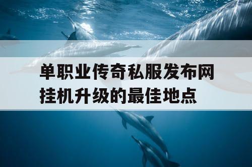 单职业传奇私服发布网挂机升级的最佳地点
