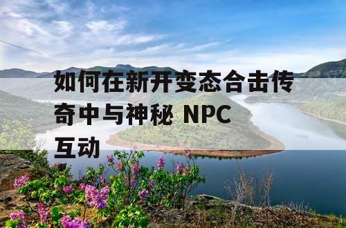 如何在新开变态合击传奇中与神秘 NPC 互动