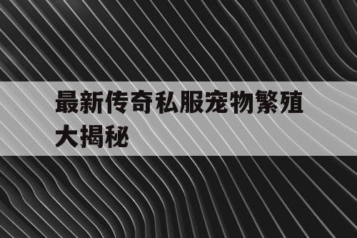 最新传奇私服宠物繁殖大揭秘