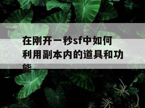 在刚开一秒sf中如何利用副本内的道具和功能